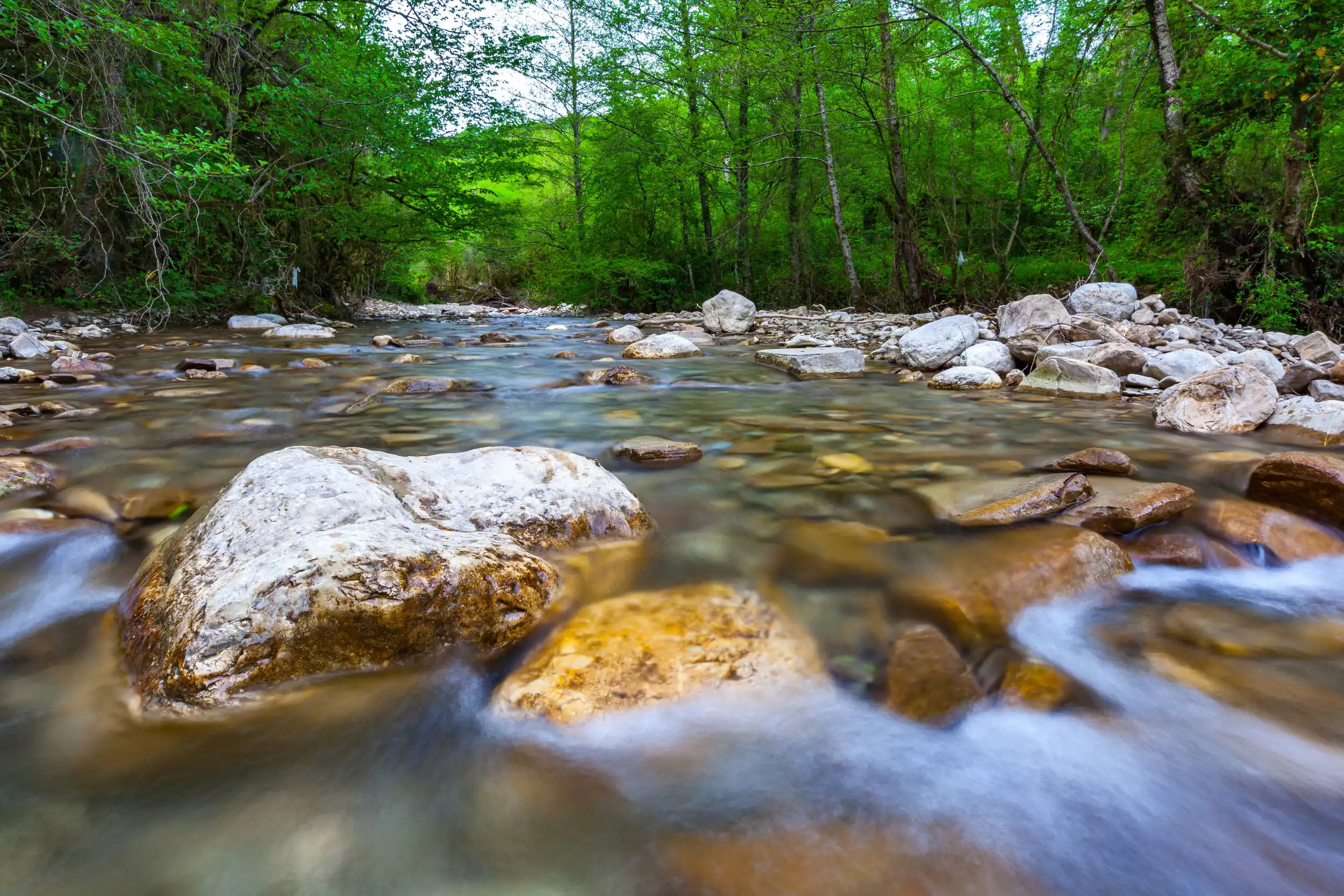 Transparent cold water of a mountain river flows between picturesque summer stones against a background of green trees close up.